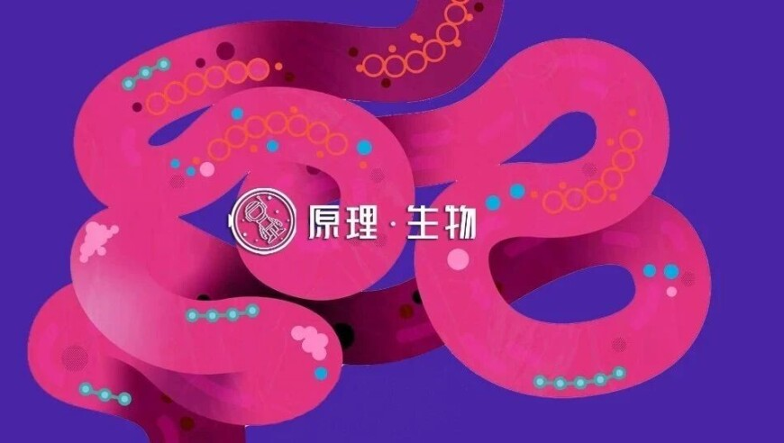 扎西顿珠官宣结婚,澳门三合,重点解答解释落实_精英版V3.49