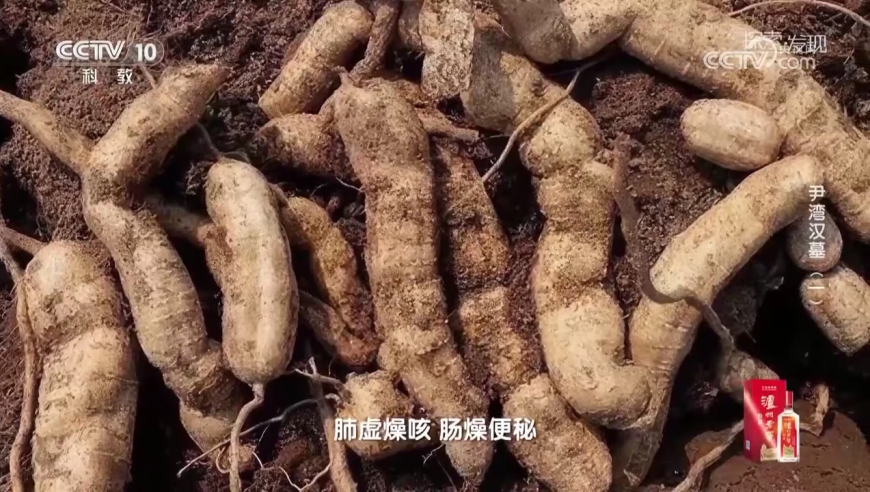 立陶宛等国：我们被美英法出卖,管家婆一码一肖资料山东,多元化方案执行策略_视频版V3.96
